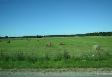Bezkresne łąki i lasy, przepięknej i niezdegradowanej Łotwy - powiększ
